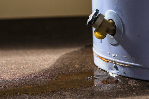 Water damage restoration insurance claims in Edcouch, TX