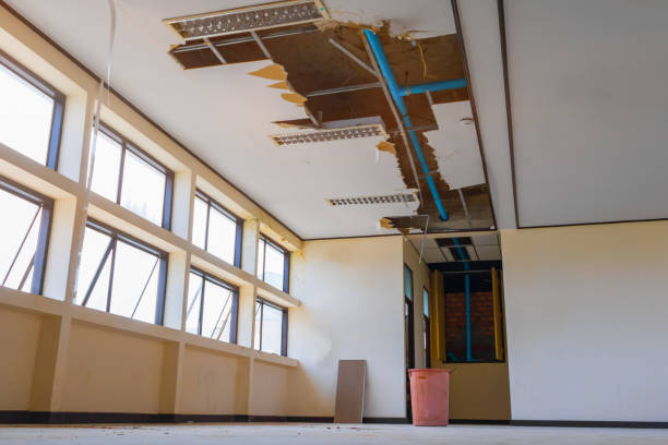 Trusted Edcouch, TX Water damage restoration Experts