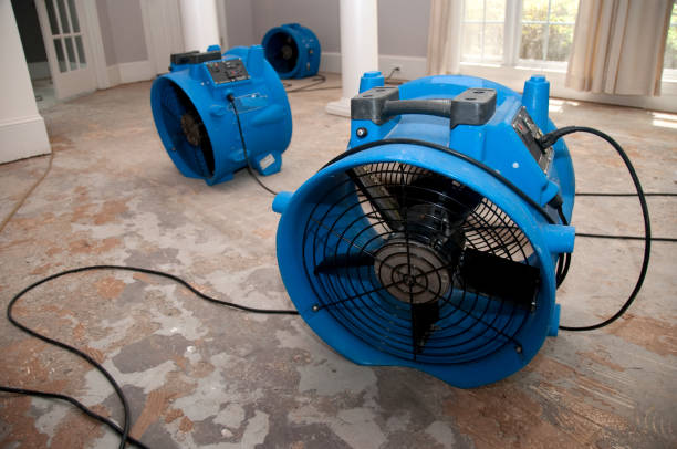Best Fire Damage Restoration  in Edcouch, TX