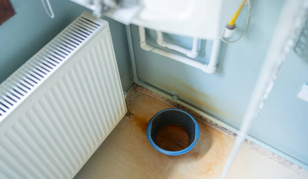 Water damage restoration mold remediation in Edcouch, TX