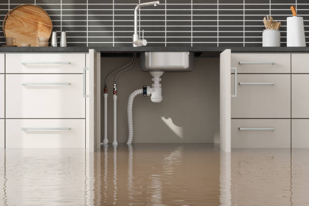 Best Residential water damage restoration  in Edcouch, TX