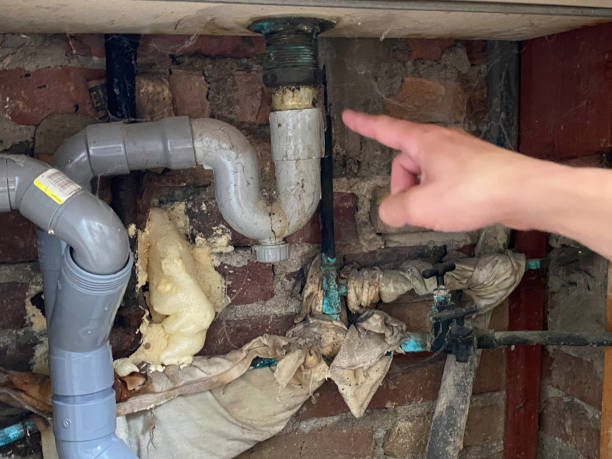 Best Water damage restoration insurance claims  in Edcouch, TX
