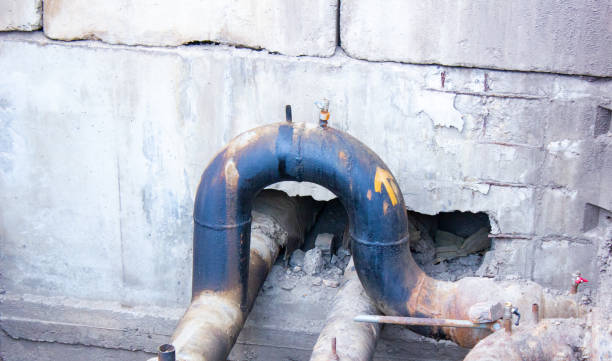 Best Water damage cleanup near me  in Edcouch, TX