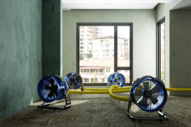 Best Local water damage restoration  in Edcouch, TX