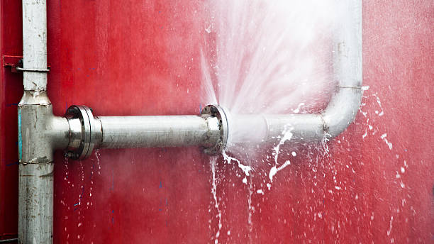 Best Local water damage restoration  in Edcouch, TX