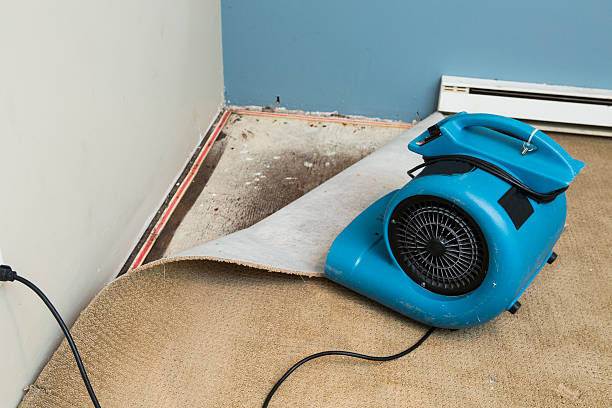 Fire Damage Restoration in Edcouch, TX